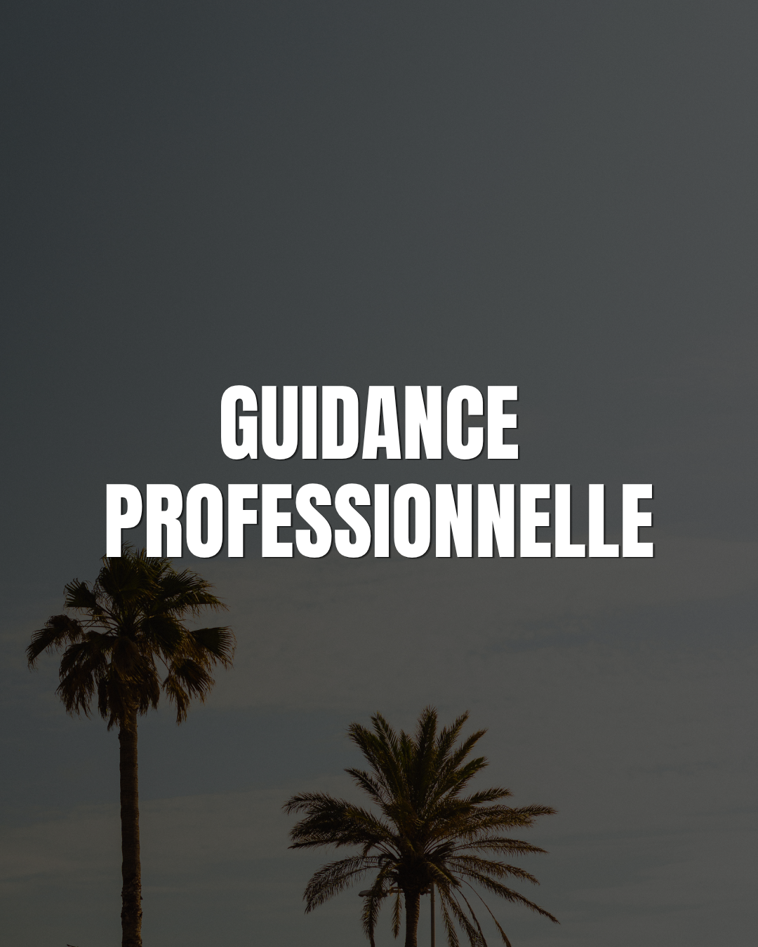 GUIDANCE PROFESSIONNELLE